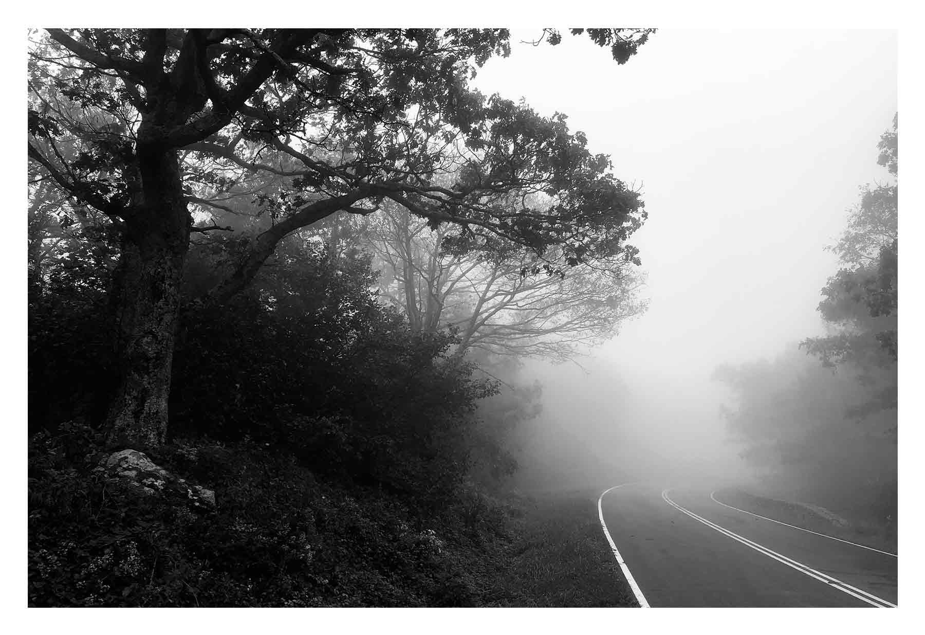 A foggy bend in a road