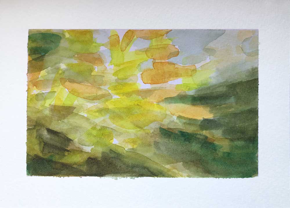 Leaves turning in the park